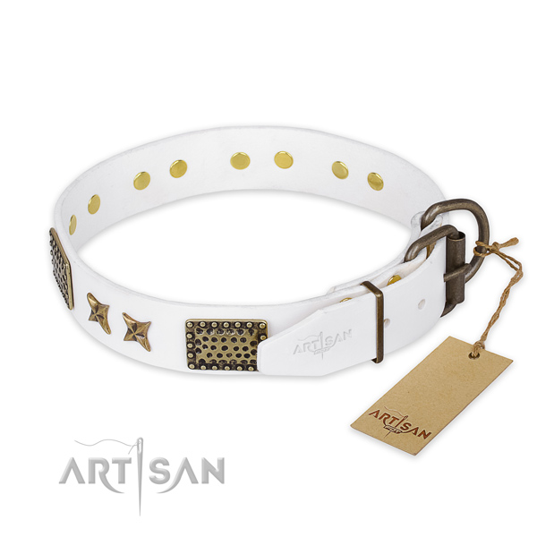 Strong traditional buckle on leather collar for your beautiful canine