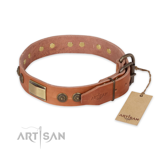 Corrosion resistant fittings on full grain leather collar for everyday walking your pet