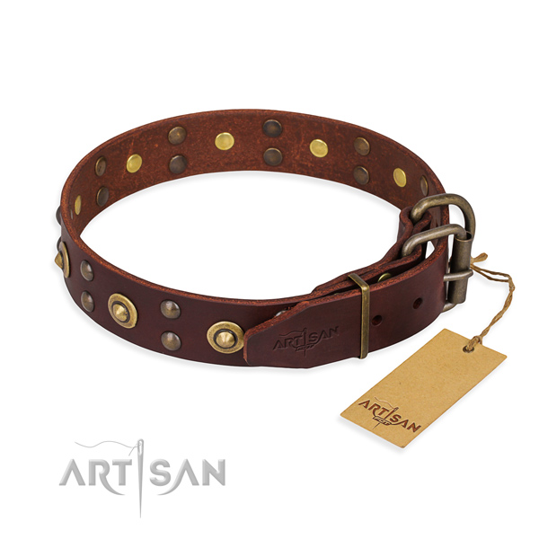 Strong buckle on leather collar for your beautiful four-legged friend