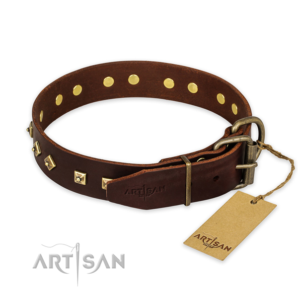 Corrosion resistant fittings on full grain natural leather collar for everyday walking your canine