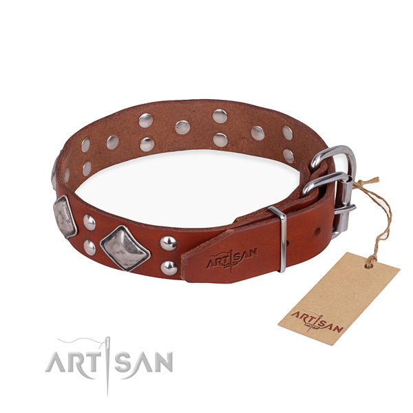 Natural leather dog collar with remarkable durable embellishments