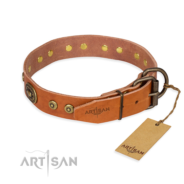 Full grain natural leather dog collar made of soft material with rust-proof studs