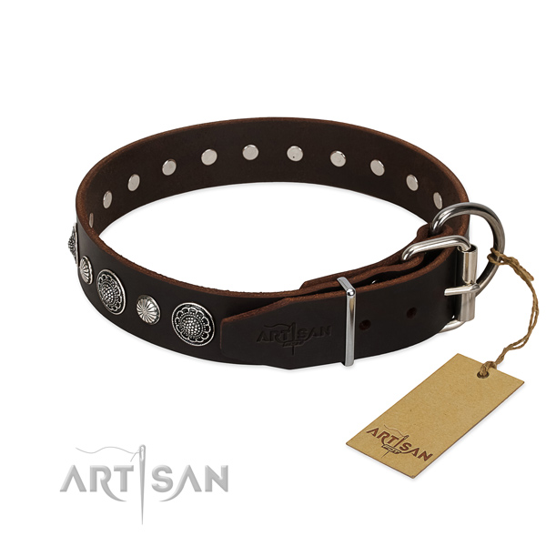 Top notch full grain natural leather dog collar with extraordinary studs