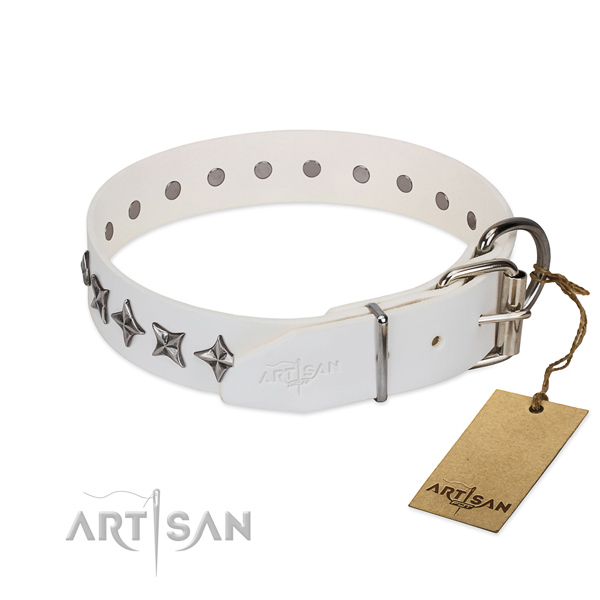 Basic training adorned dog collar of quality full grain genuine leather