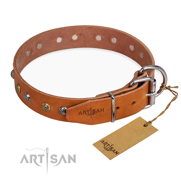 Full grain leather dog collar with unique reliable adornments