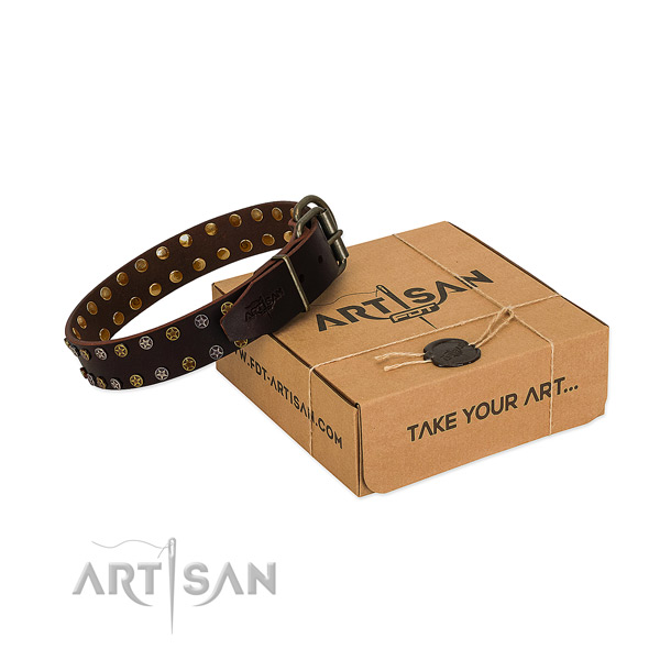 Everyday walking quality leather dog collar with adornments