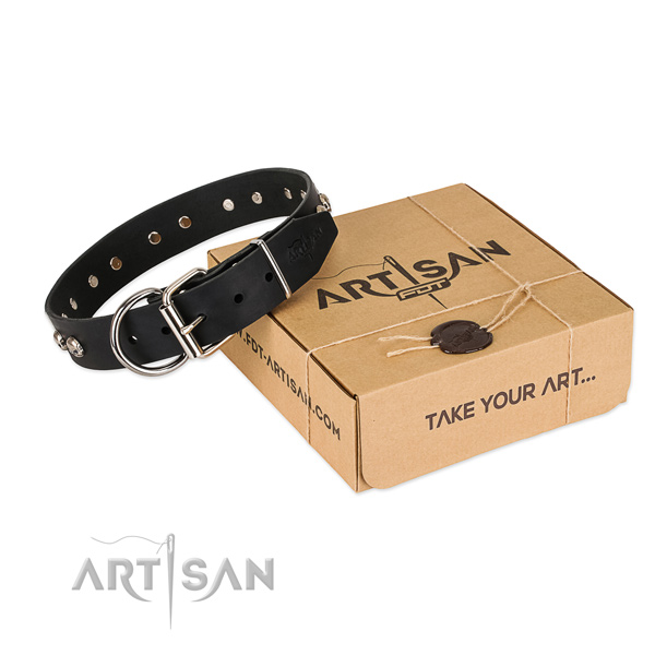 Corrosion resistant decorations on dog collar for daily use
