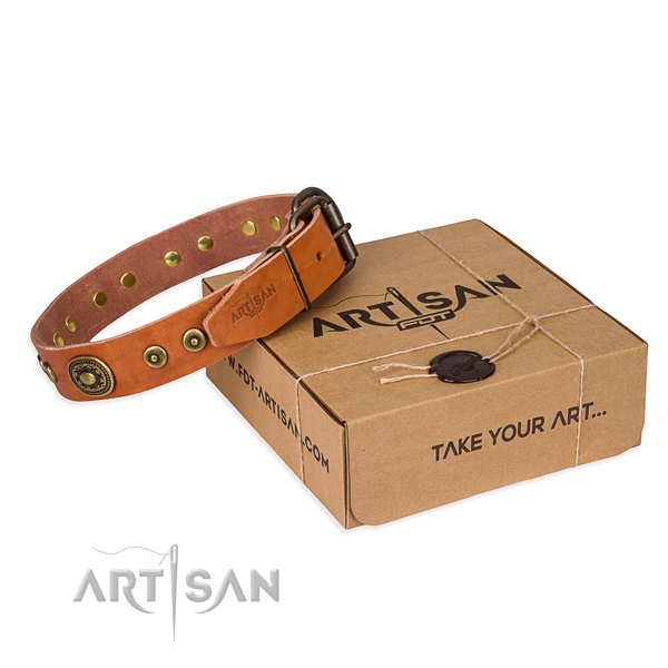 Leather dog collar made of reliable material with strong buckle