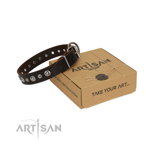 Reliable full grain leather dog collar with extraordinary adornments