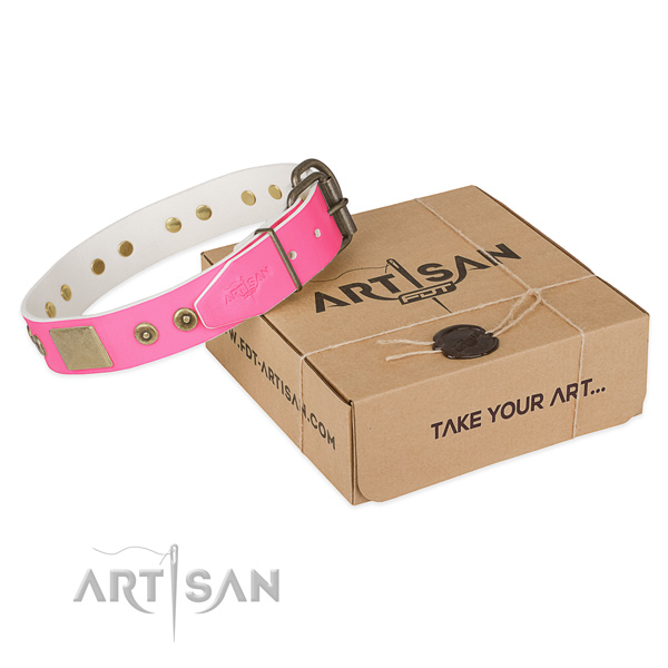 Corrosion proof adornments on dog collar for handy use