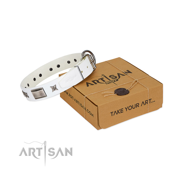 Studded collar of full grain genuine leather for your beautiful canine
