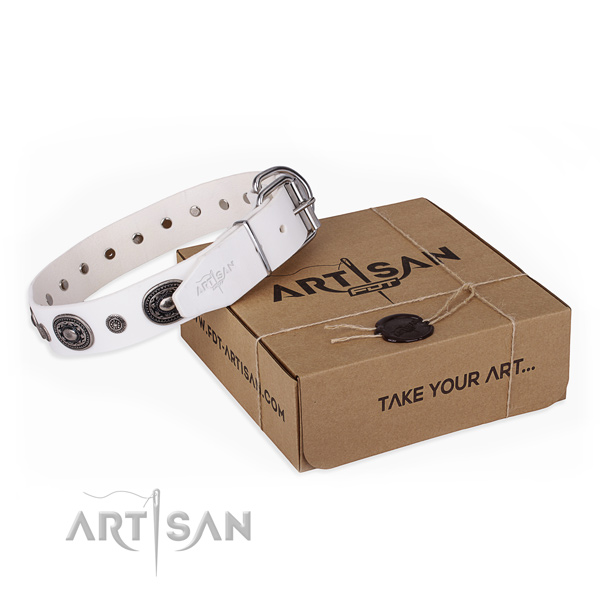 Soft full grain leather dog collar crafted for handy use