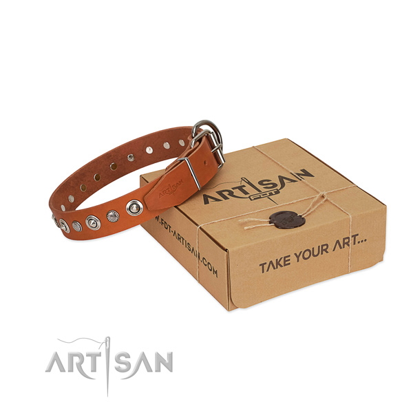 Strong full grain natural leather dog collar with stylish embellishments