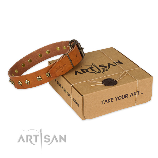 Rust resistant buckle on full grain leather dog collar for fancy walking