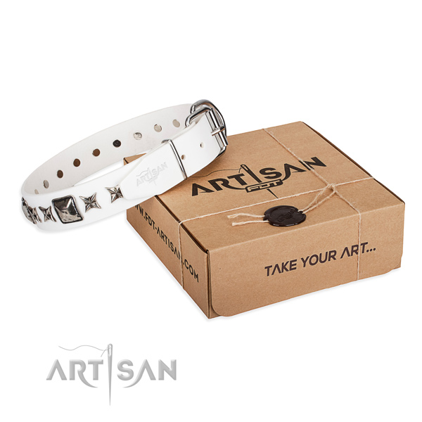 Walking full grain natural leather dog collar with embellishments
