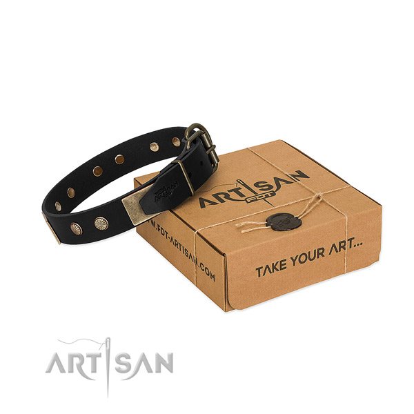 Reliable traditional buckle on dog collar for daily walking
