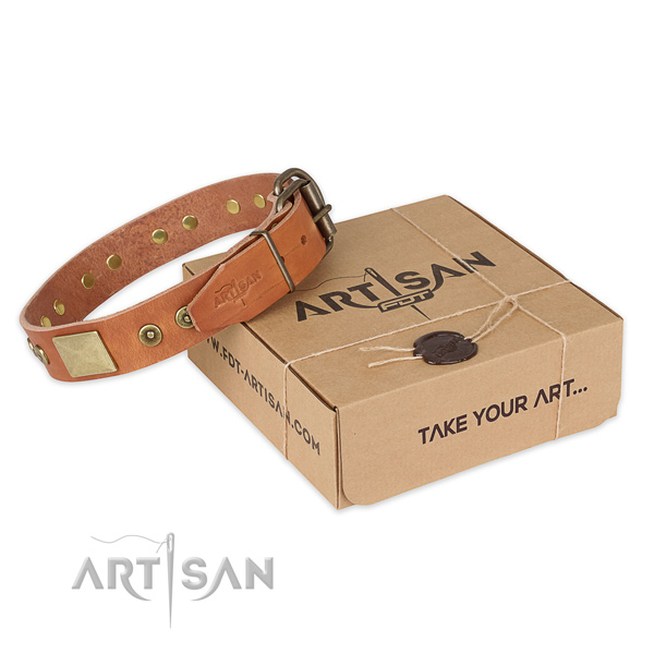 Rust-proof hardware on full grain leather dog collar for stylish walking