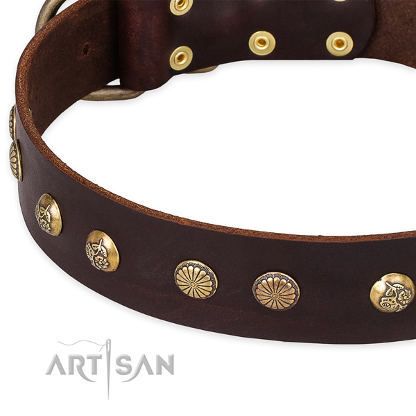 Natural genuine leather collar with reliable fittings for your attractive pet