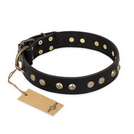 "Black Elegance" FDT Artisan Leather Cane Corso Collar with Round Studs "Black Elegance" FDT Artisan Leather Cane Corso Collar with Round Studs