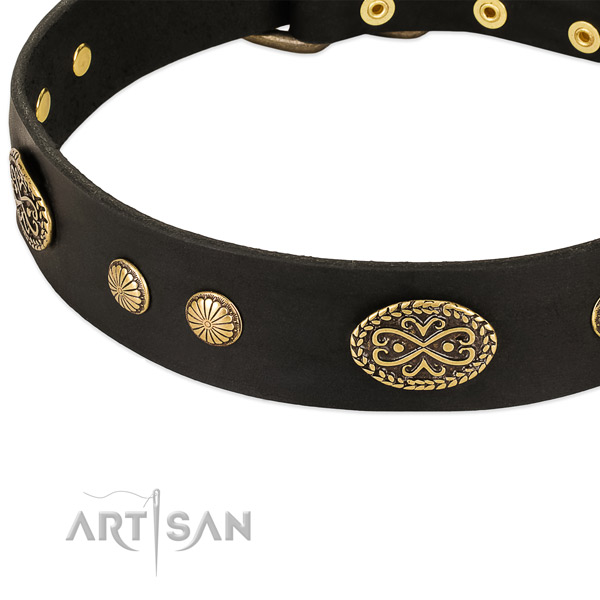 Rust-proof adornments on leather dog collar for your pet