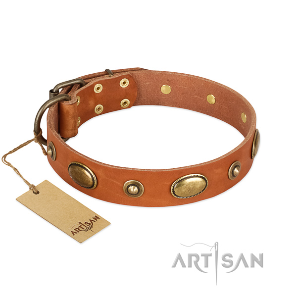 Studded natural leather collar for your four-legged friend