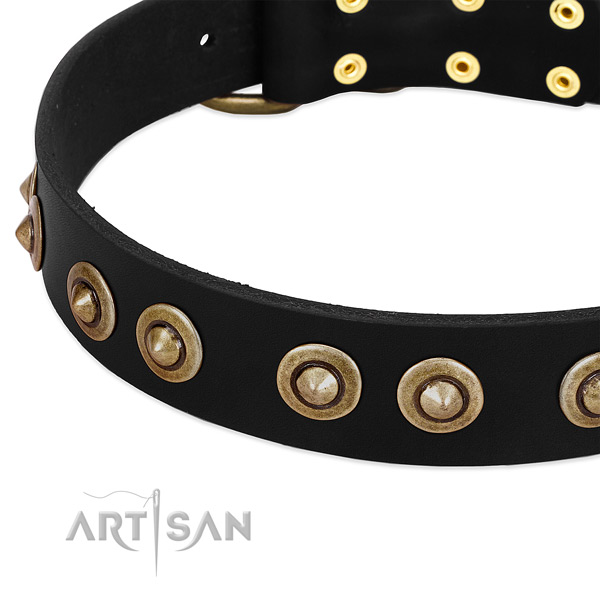 Strong buckle on full grain genuine leather dog collar for your canine