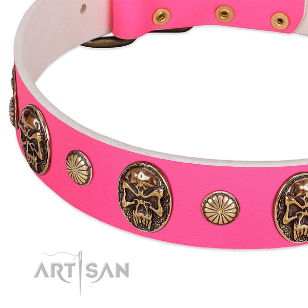 Reliable hardware on full grain natural leather dog collar for your dog