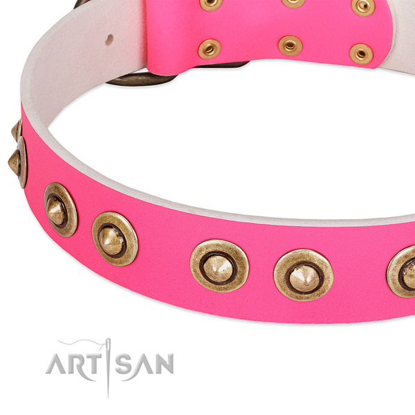 Rust resistant embellishments on full grain genuine leather dog collar for your dog