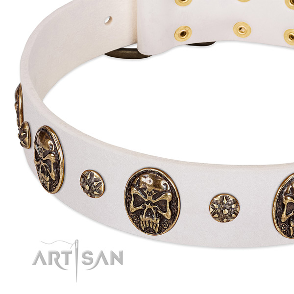 Durable decorations on genuine leather dog collar for your four-legged friend