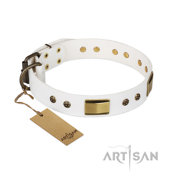 Fashionable leather collar for your canine