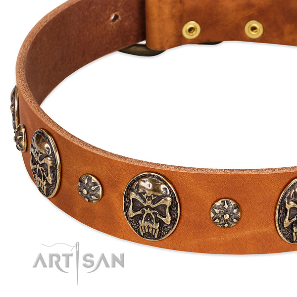 Durable studs on leather dog collar for your pet