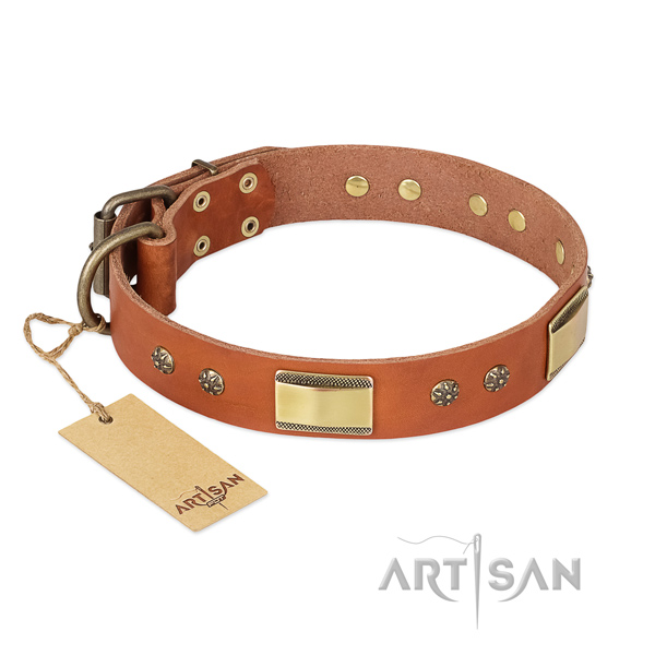 Stunning full grain leather collar for your pet