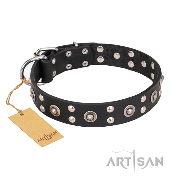 Everyday walking studded dog collar with strong traditional buckle