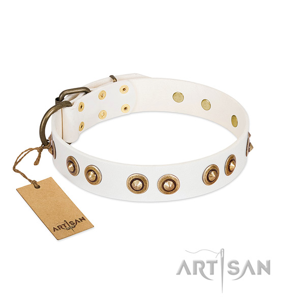 Handmade leather collar for your pet