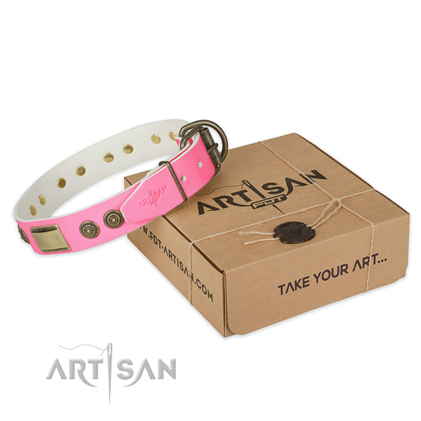 Rust resistant decorations on dog collar for daily use