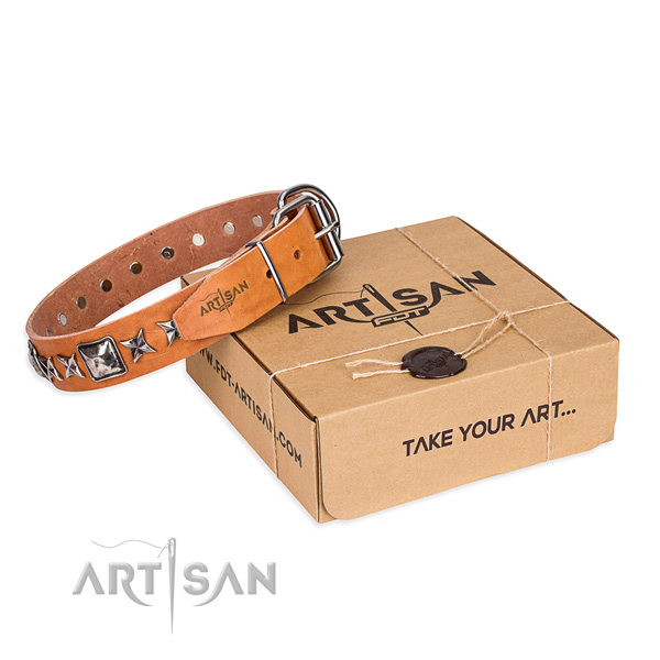 Everyday use full grain genuine leather dog collar with studs