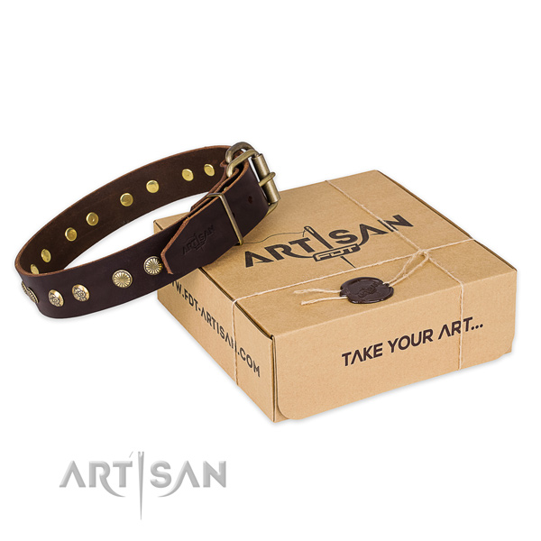 Durable traditional buckle on full grain natural leather collar for your lovely four-legged friend