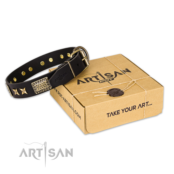 Reliable fittings on full grain genuine leather collar for your beautiful pet