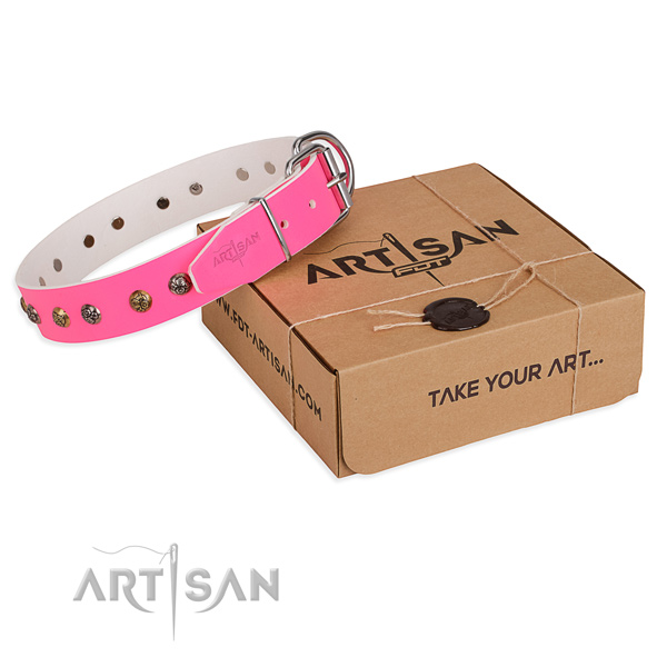 Handy use dog collar with Significant durable adornments