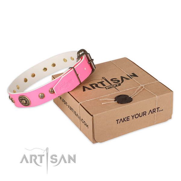 Rust resistant fittings on leather dog collar for comfy wearing