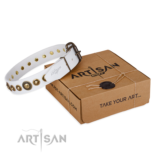 Best quality leather dog collar created for comfy wearing