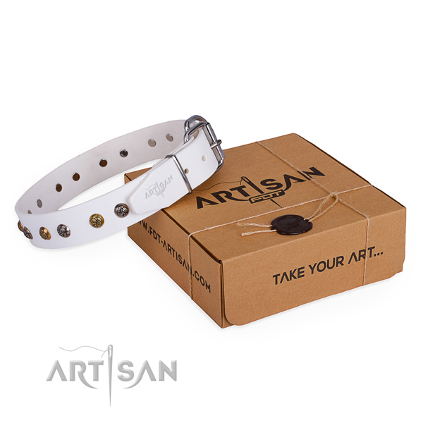 Daily use dog collar with Stylish rust resistant adornments