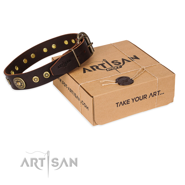 Full grain leather dog collar made of gentle to touch material with reliable buckle