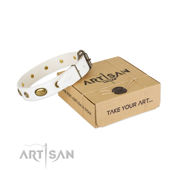 Comfortable leather collar for your lovely four-legged friend