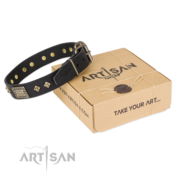 Designer full grain leather collar for your lovely pet