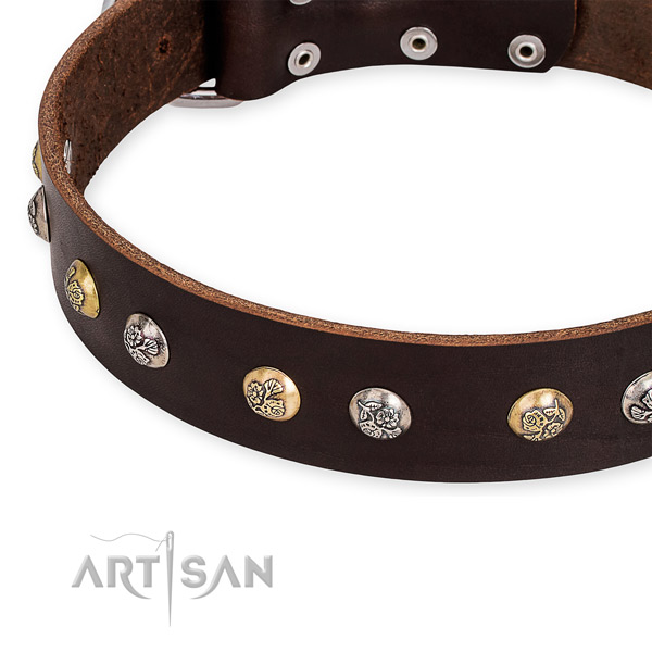 Natural genuine leather dog collar with extraordinary strong adornments