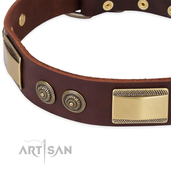 Durable studs on leather dog collar for your canine