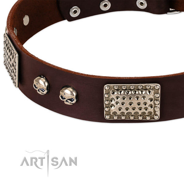 Rust resistant adornments on leather dog collar for your pet