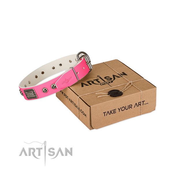 Strong decorations on dog collar for stylish walking