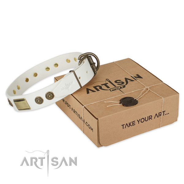 Rust-proof D-ring on full grain leather dog collar for everyday walking